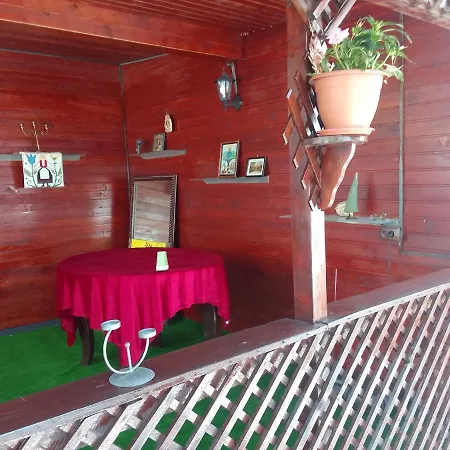 Gradina 5 Elemente Eforie Nord